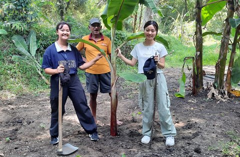 greenvolunteers events (16)