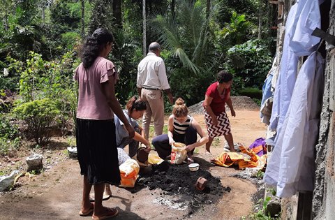 greenvolunteers events (3)