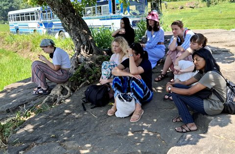greenvolunteers events (7)